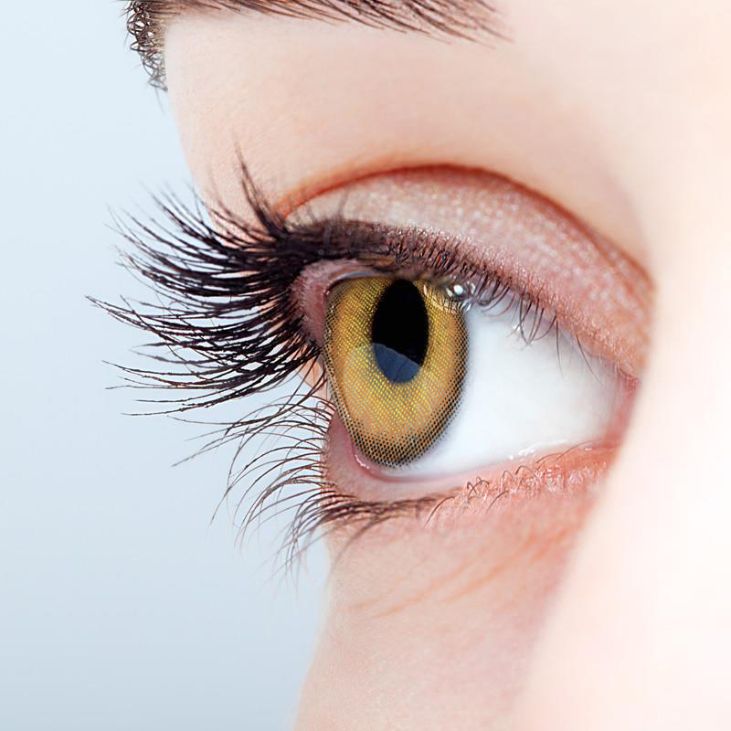 NEBULALENS Oban Brown Yearly Prescription Colored Contact Lenses - NEBULALENS