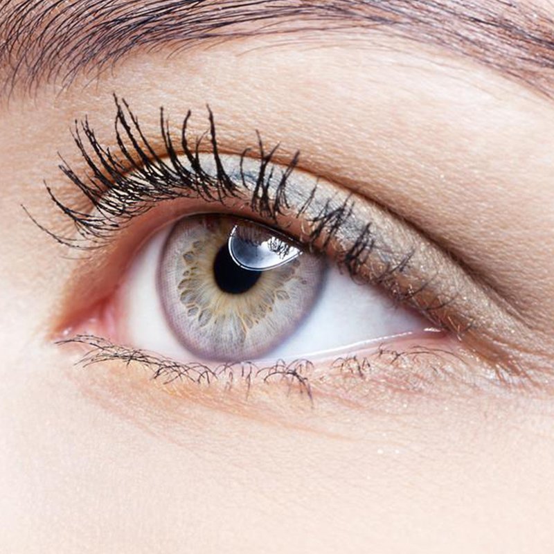 NEBULALENS Fairy Tale Golden Basket Color Purple Yearly Prescription Colored Contact Lenses - NEBULALENS