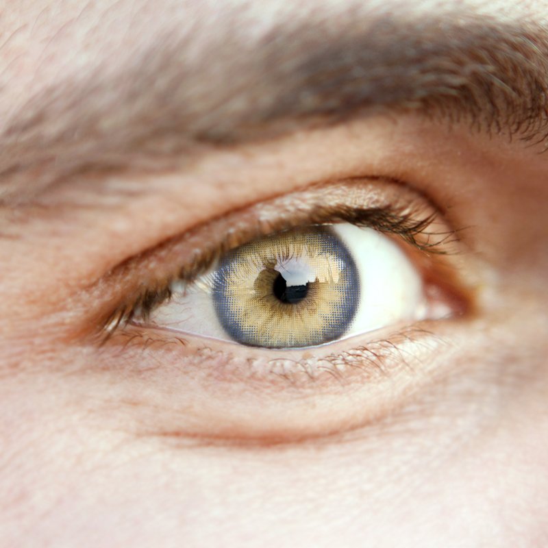 NEBULALENS Sapphire Blue Brown Yearly Prescription Colored Contact Lenses(0.00) - NEBULALENS
