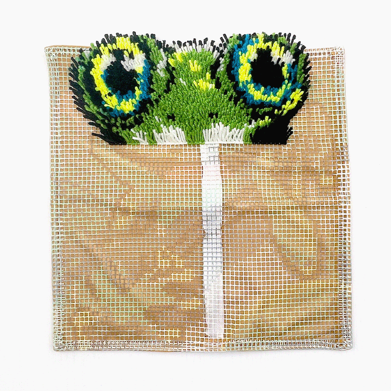 Naughty Frog Latch Hook Pillow Kit for Adult, Beginner and Kid