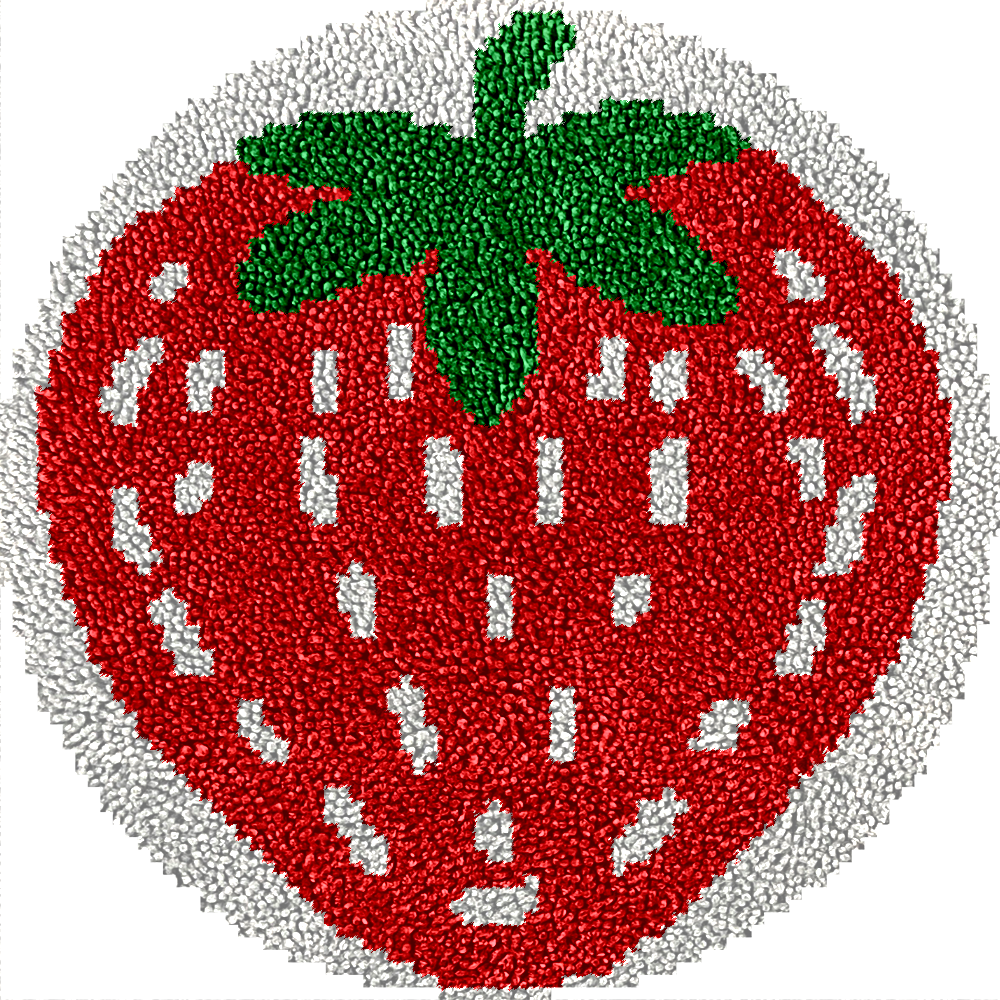 Fruits - Latch Hook Rug Kit