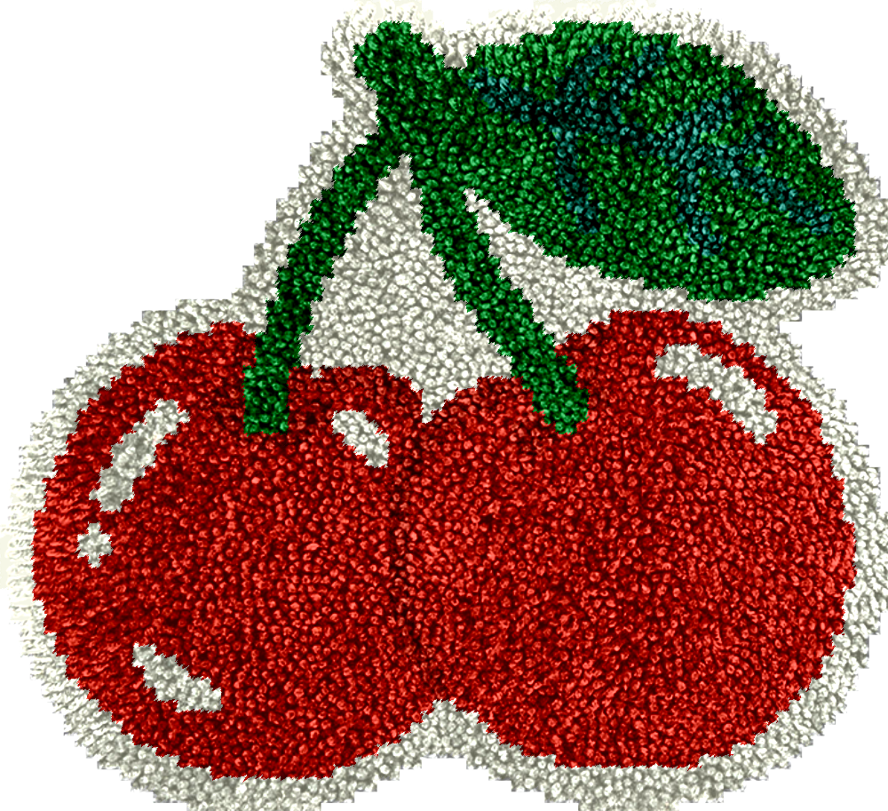 Cherry - Latch Hook Rug Kit