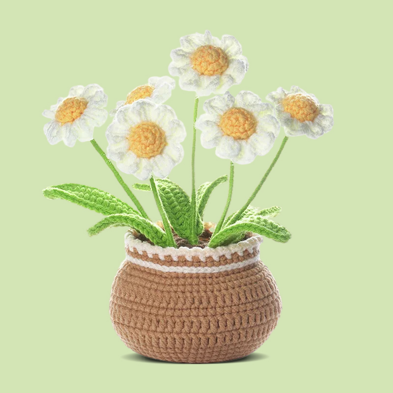 Daisy Flower Pot - Crochet Kit - LOLCrochet
