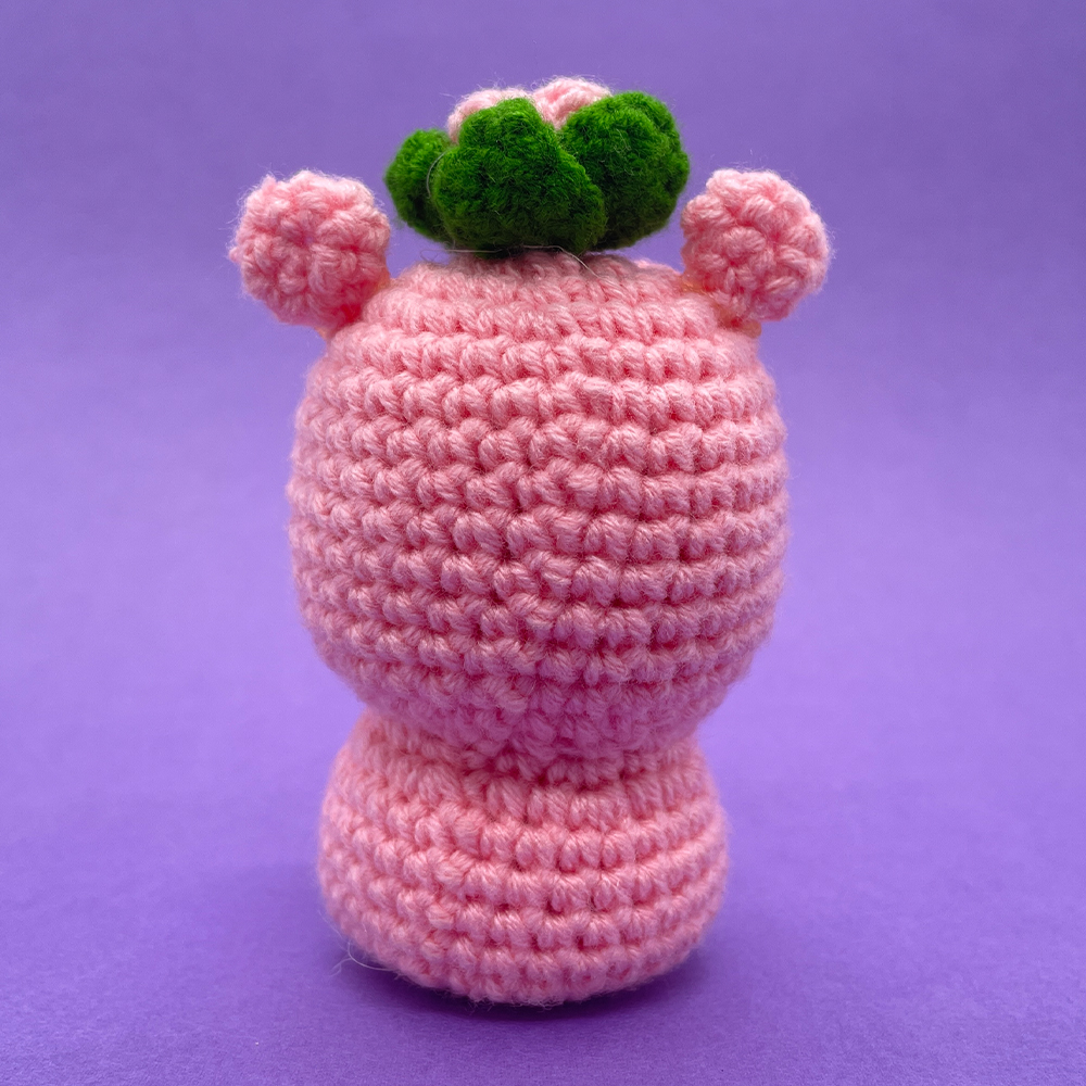 Hippo - Crochet Kit - LOLCrochet