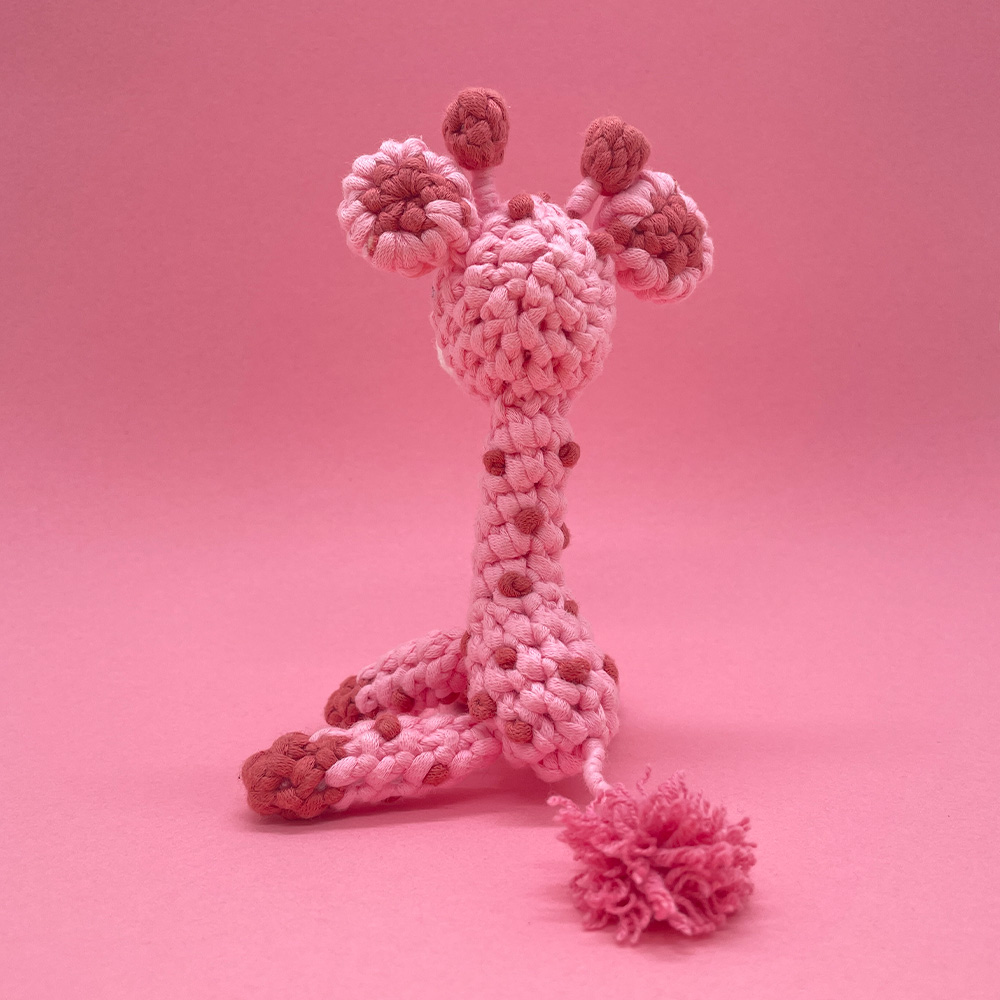 Cute Giraffe - Crochet Kit - LOLCrochet