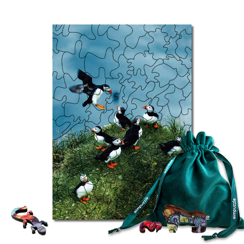 JEFFPUZZLE™ The flying duck Puzzle