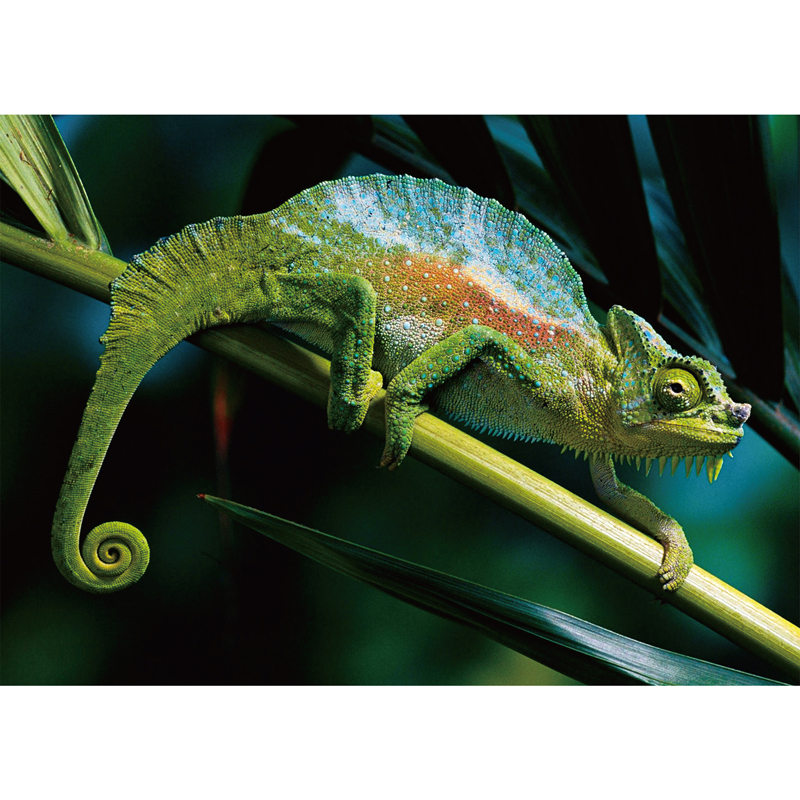JEFFPUZZLE™ Four-Horned Chameleon Wooden Puzzle