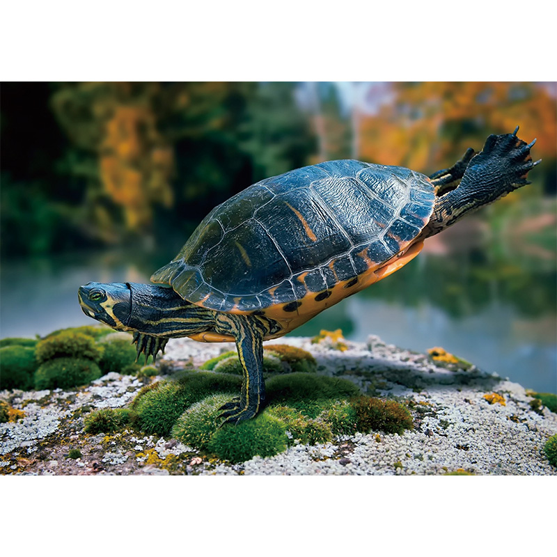 JEFFPUZZLE™ Brazilian Turtle Wooden Puzzle