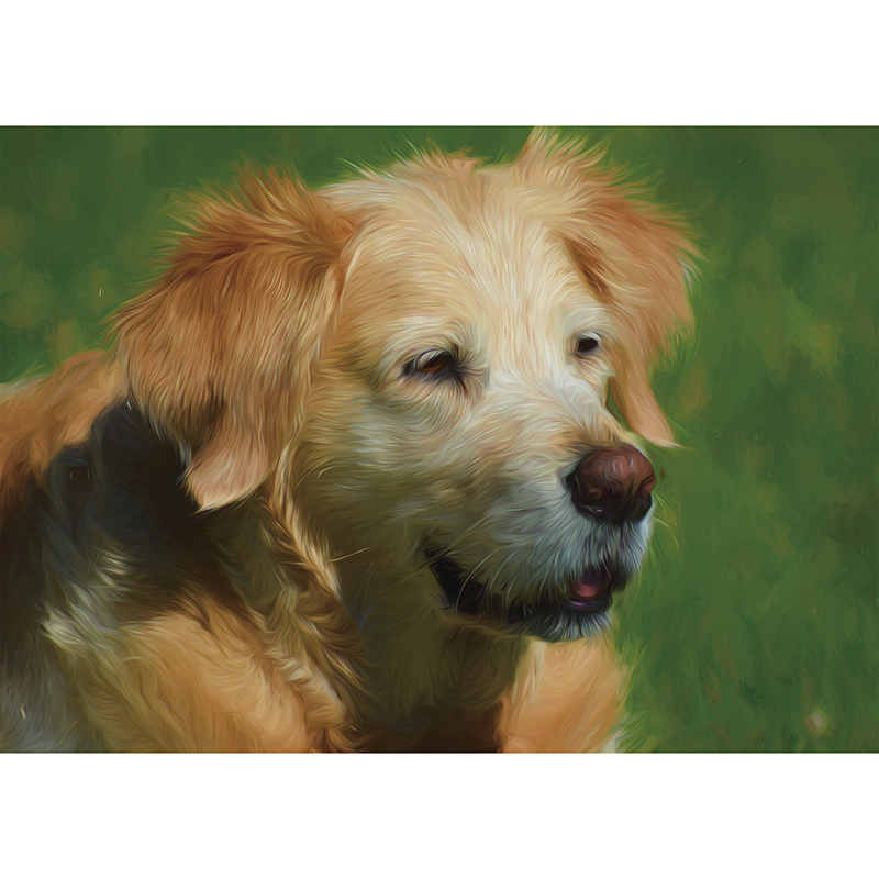JEFFPUZZLE™ Labrador Wooden  Puzzle
