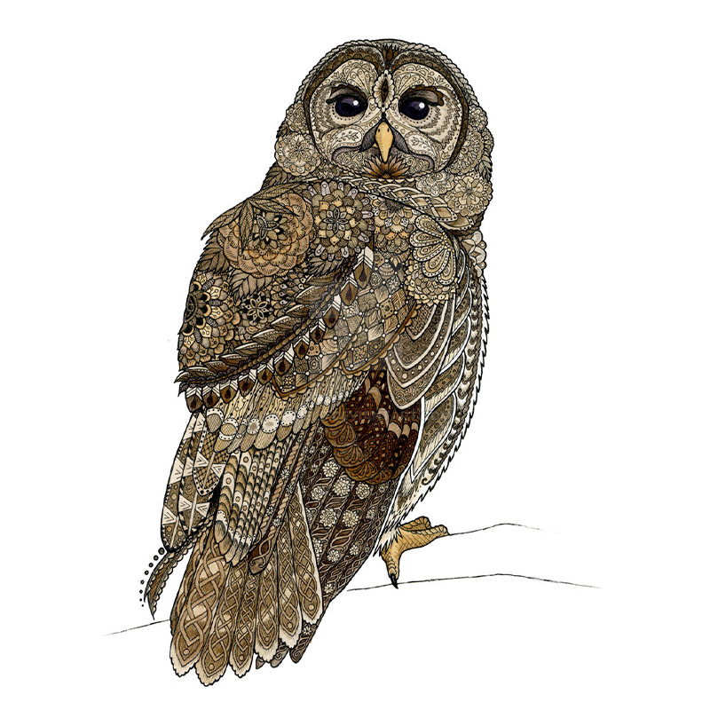 JEFFPUZZLE™ Barred Owl Wooden Puzzle