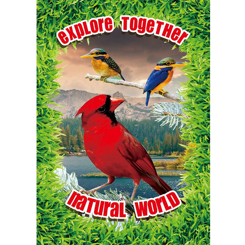 JEFFPUZZLE™ Colorful Cardinals Wooden Puzzle