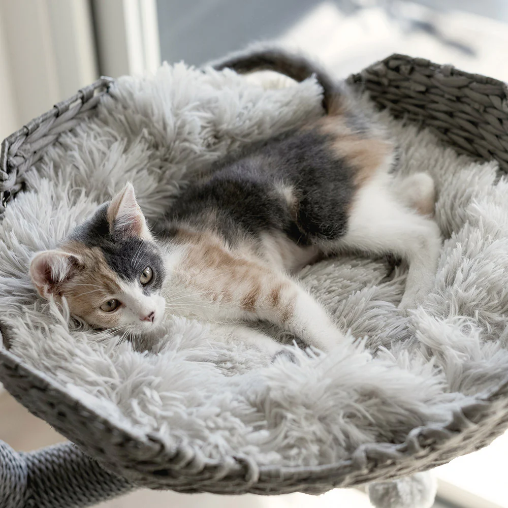 Cat Tree