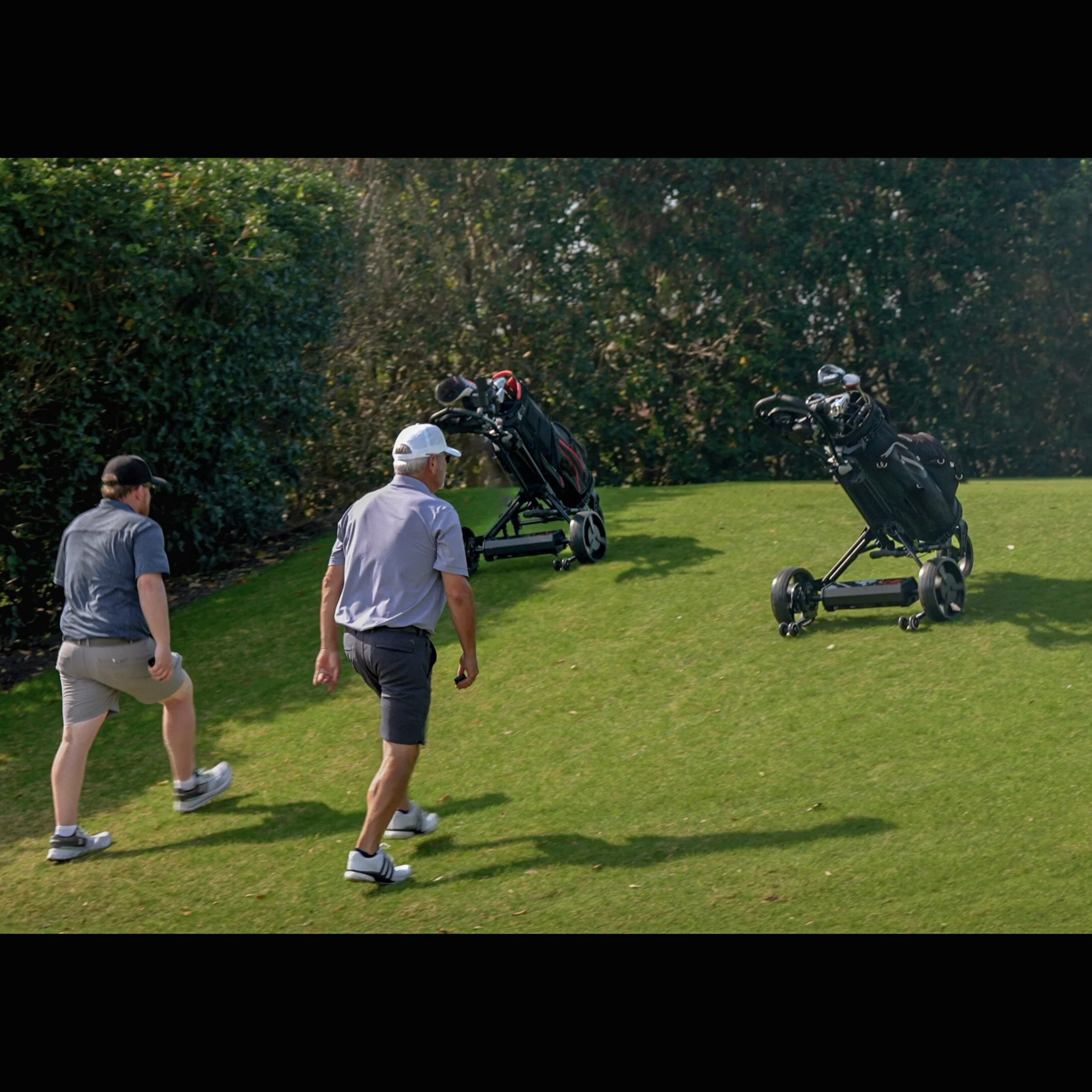 V2Pro + Omni Cart