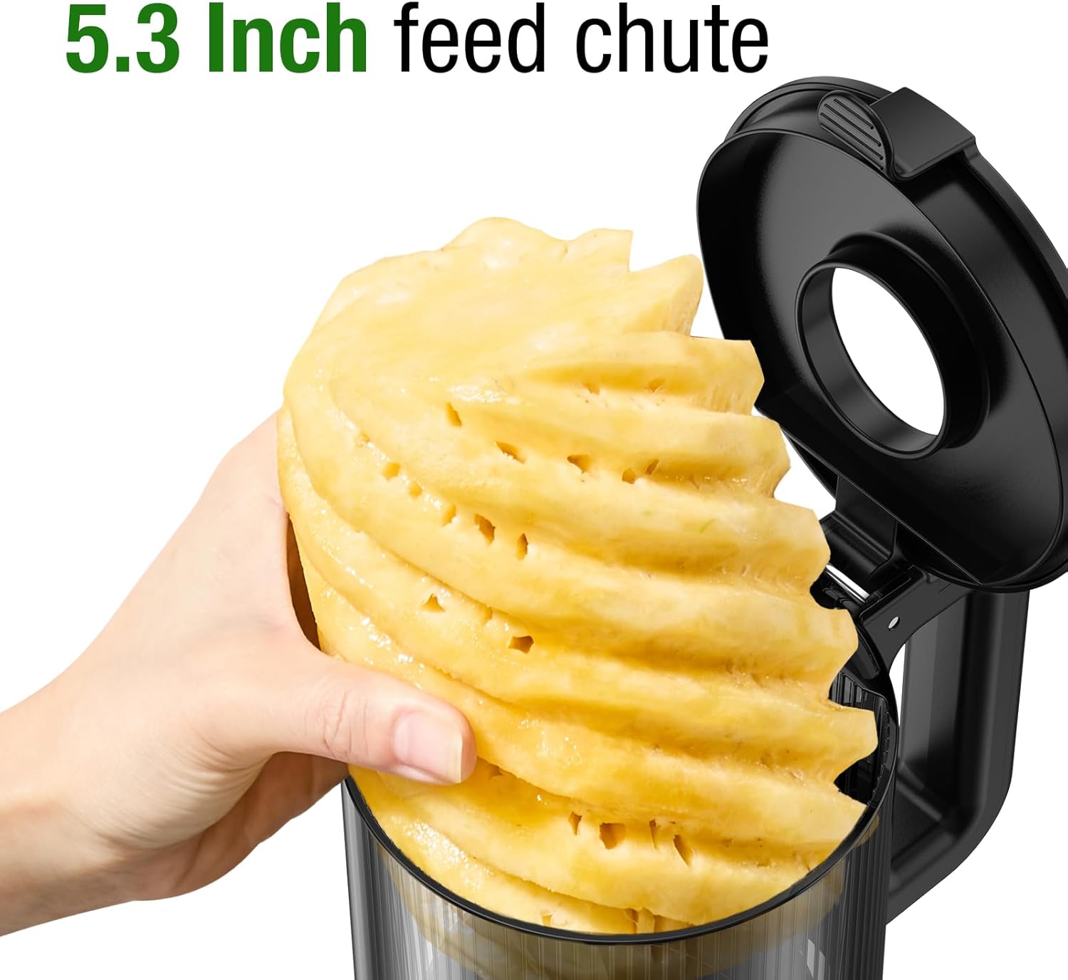 Juicer Machines, Cold Press Juicer with 5.3