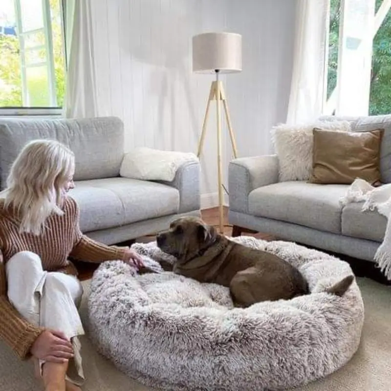 Calming Plush Dog Bed