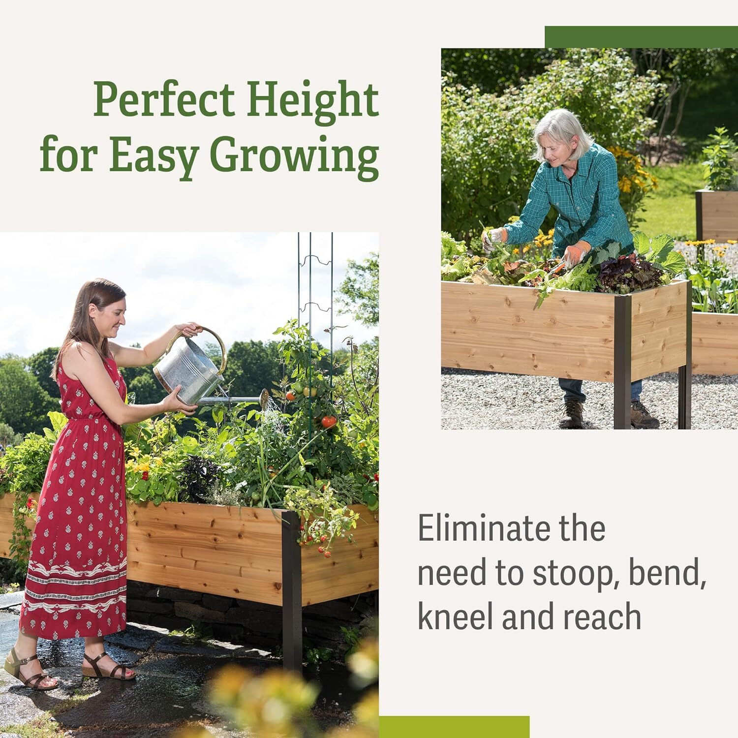 ✨✨- Garden Planting Box - Simple Gardening Made Easy to Assemble