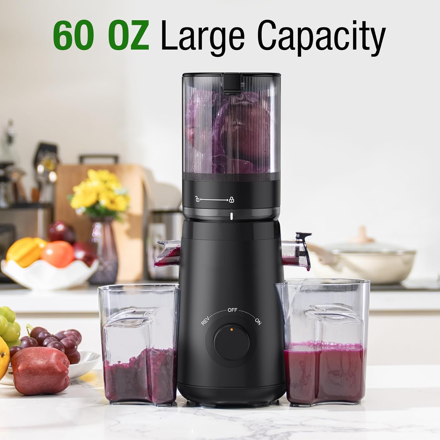 Juicer Machines, Cold Press Juicer with 5.3