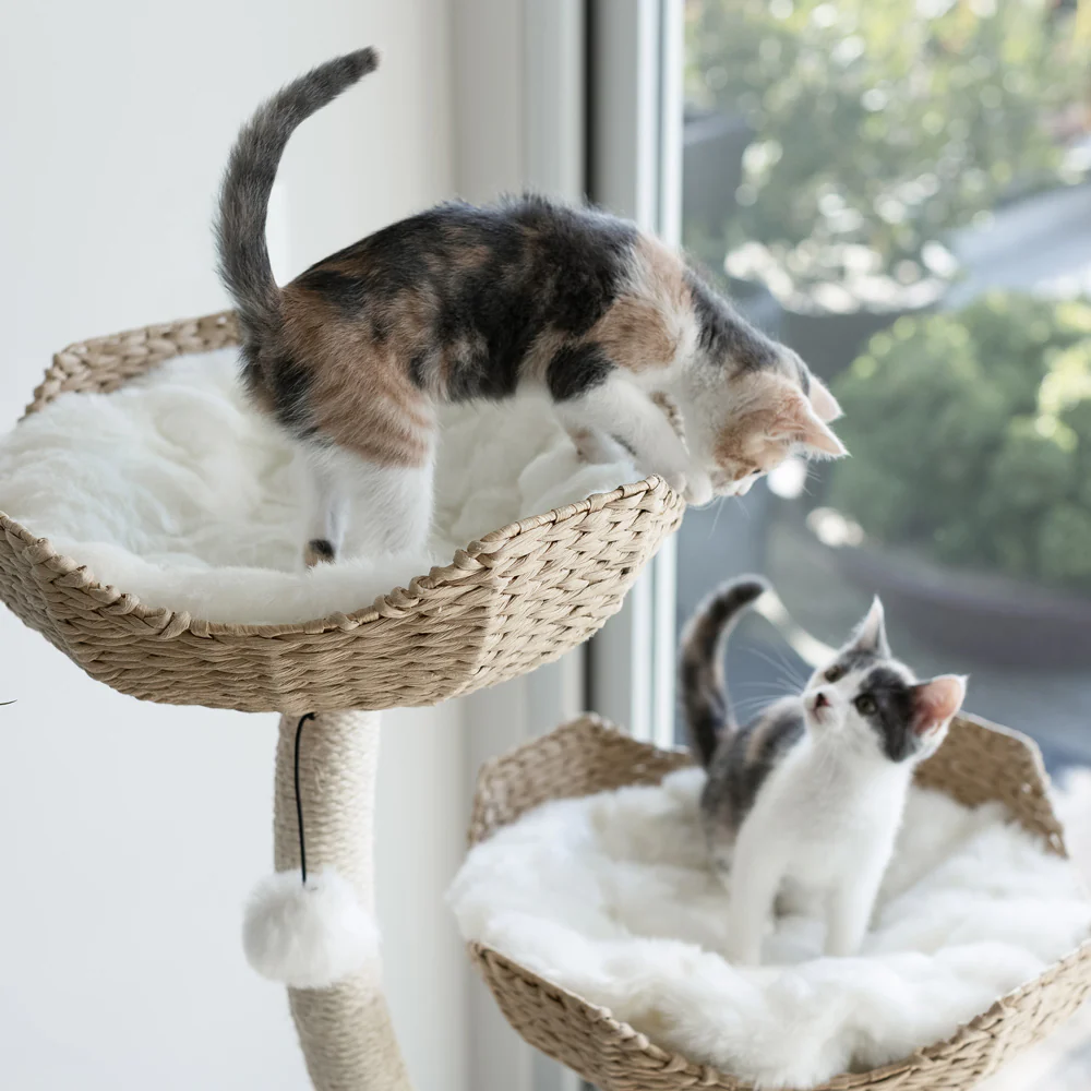 Cat Tree