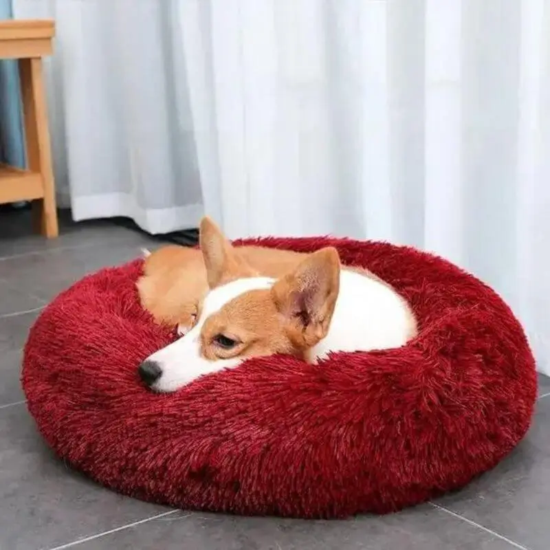 Calming Plush Dog Bed