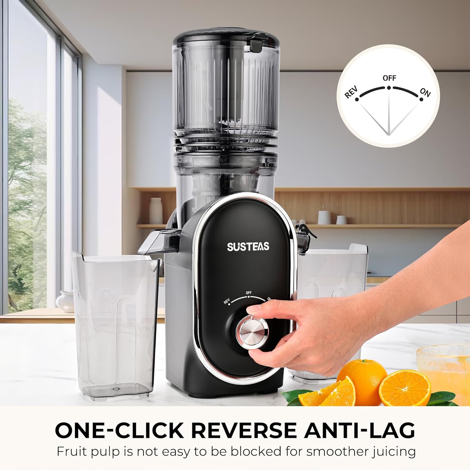 Cold Press Juicer, 5.3