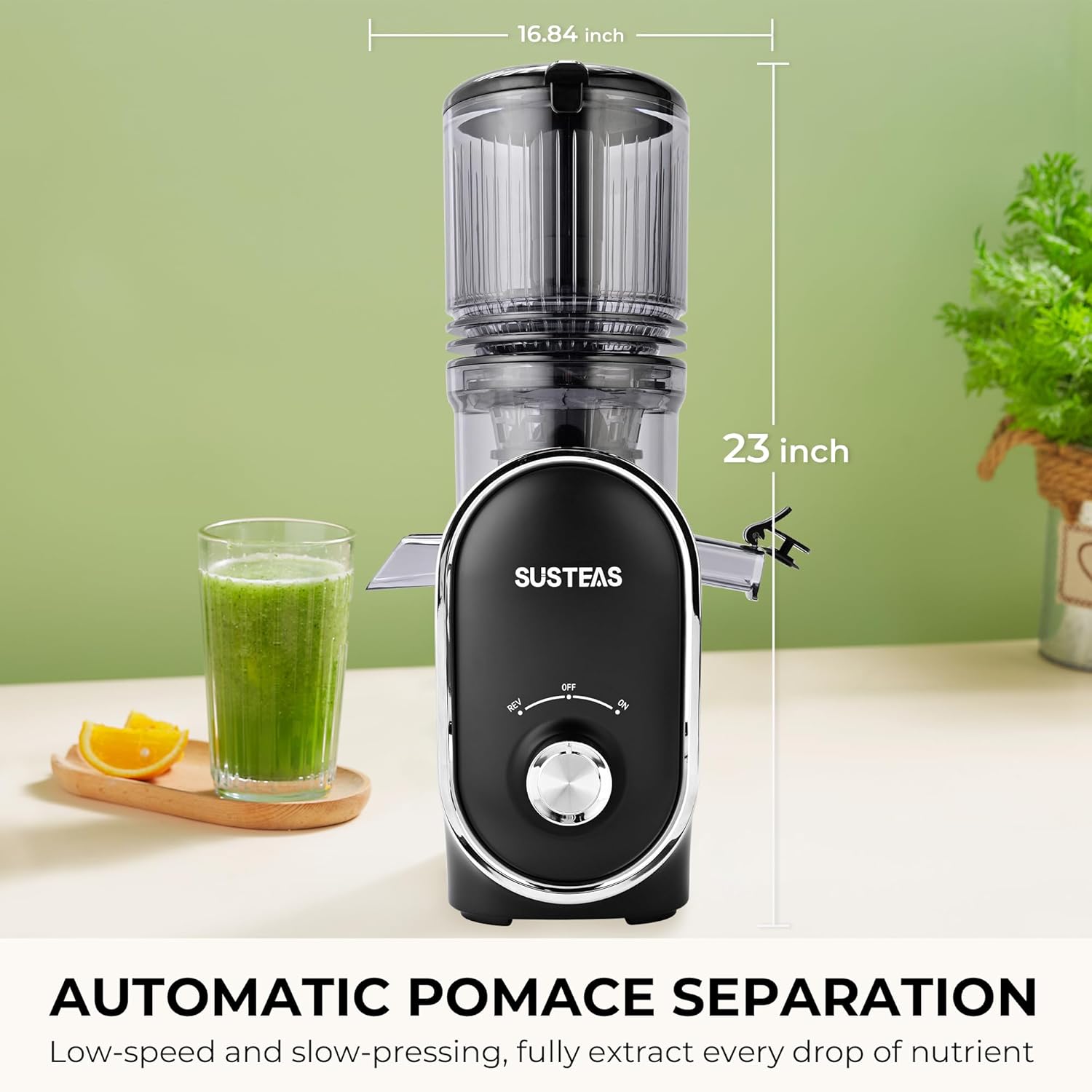 Cold Press Juicer, 5.3