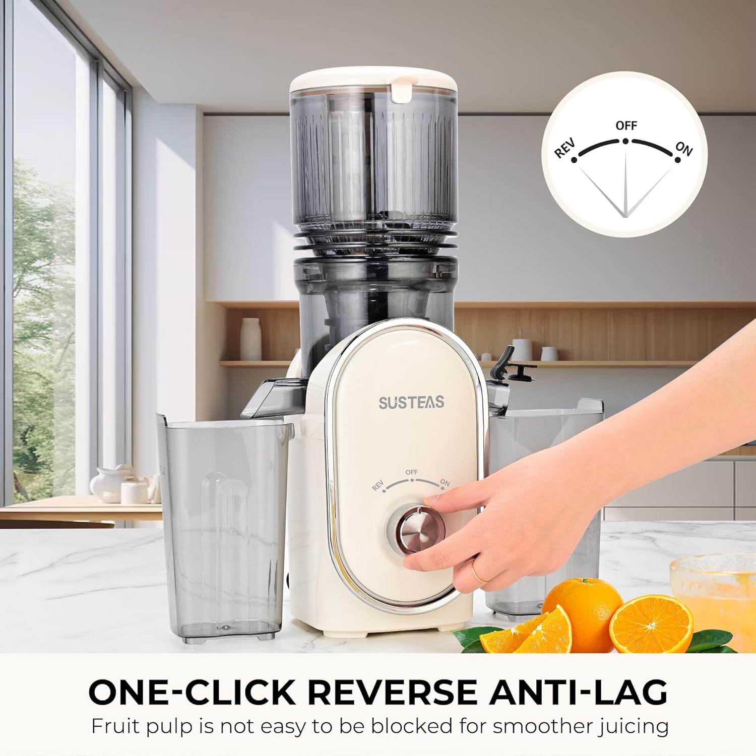 Cold Press Juicer, 5.3