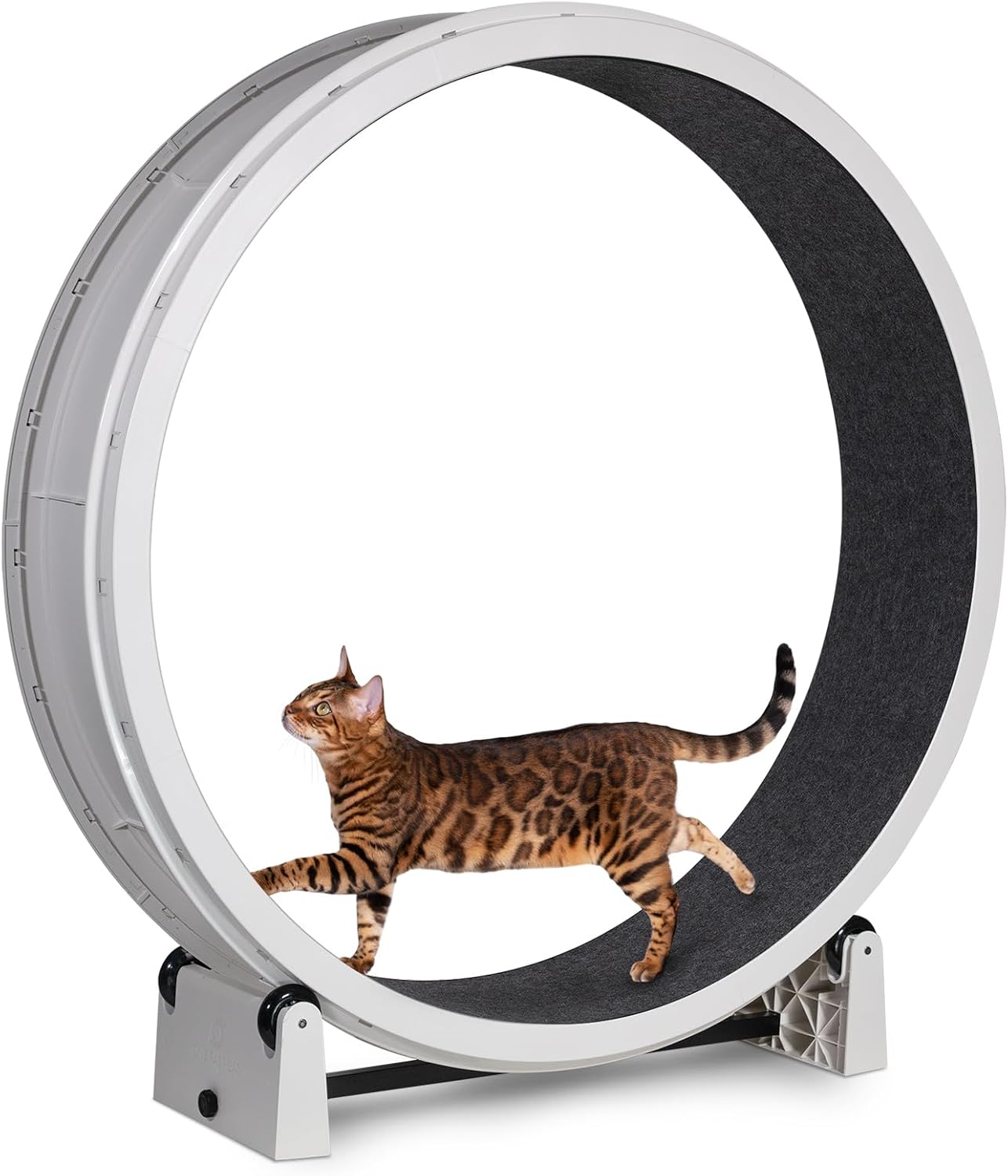 Cat Exercise Wheel  - Safe 48